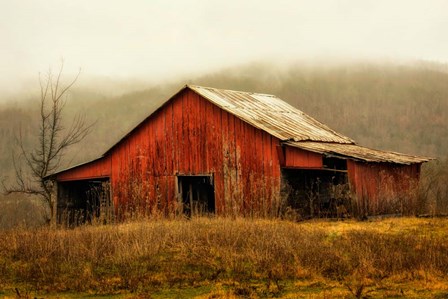 Skylight Barn in the Fog by Andy Amos art print