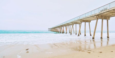 Beach Pier View by Bill Carson Photography art print