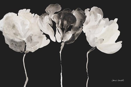 Trio in Light on Black by Lanie Loreth art print