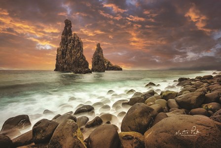 Standing Strong by Martin Podt art print