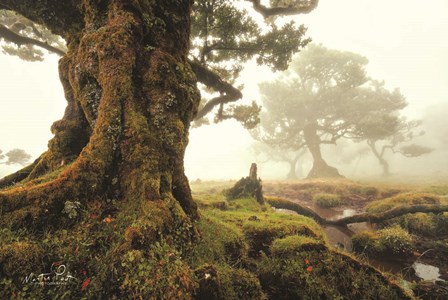 World of Magic by Martin Podt art print