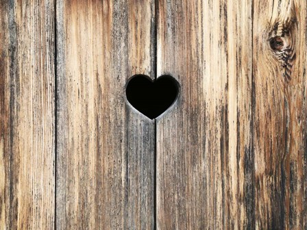 Heart in Wood by Brooke T. Ryan art print