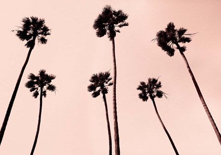 Palm Trees 1997 Copper by Erik Asla art print