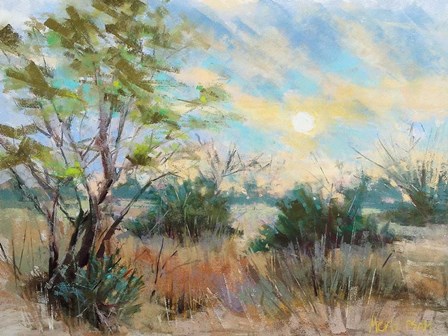 Texas Sunrise by Nancie King Mertz art print