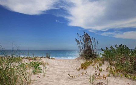 Dune Trail by Brent Anderson art print