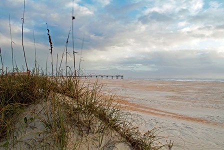 Sand Dunes I by Chuck Burdick art print