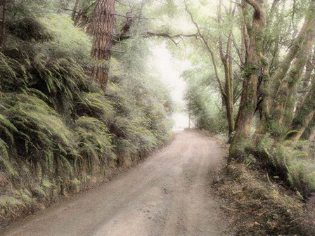 Lost Coast Road by Laura Culver art print