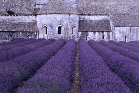 Lavender Abbey by Greg Gawlowski art print