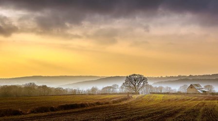 The Farm by Adelino Gon&#231;alves art print