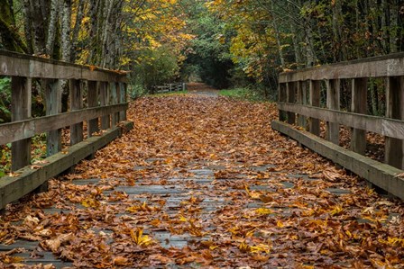 Fall on the Goose (Victoria) by Tim Oldford art print