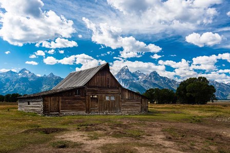 Grand Teton Barn I by Tim Oldford art print