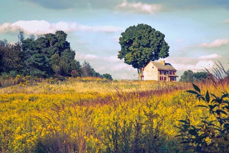 House on a Hill by John Rivera art print