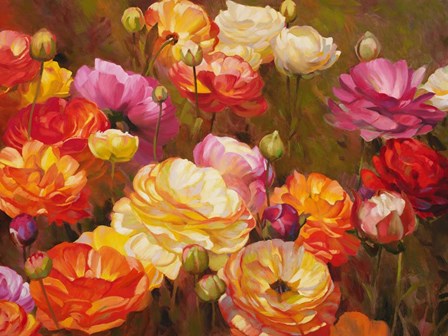 Ranunculus Garden by Emma Styles art print