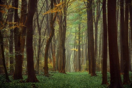 Arriving Nowhere by Lars Van De Goor art print