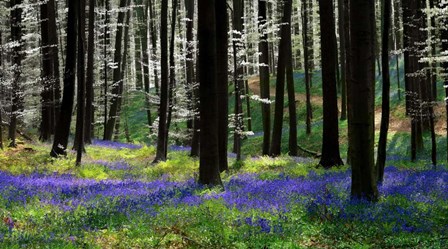 Blue Silver by Lars Van De Goor art print