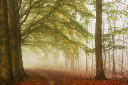 Dreamwalkers by Lars Van De Goor art print