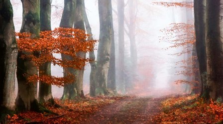 Last Guide before the Mist by Lars Van De Goor art print