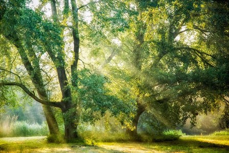 Receiving and Giving by Lars Van De Goor art print