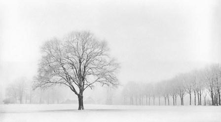 Standing Alone by Lars Van De Goor art print