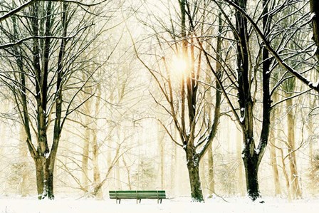 Too Cold To Sit by Lars Van De Goor art print