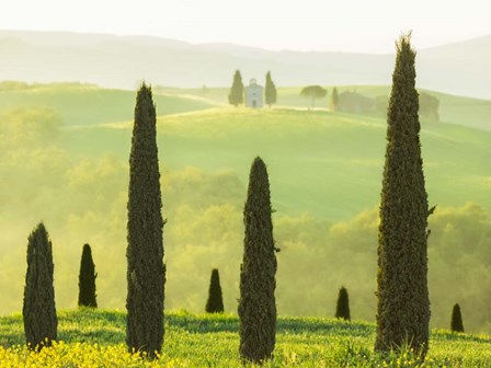 Tuscan Temple by Lars Van De Goor art print