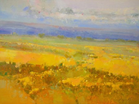 Field of Yellow Flowers by Vahe Yeremyan art print