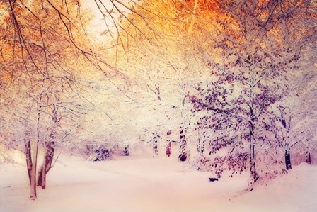 Snowy Sunrise by Dirk W&#252;stenhagen art print