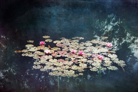 Waterlilies by Dirk W&#252;stenhagen art print