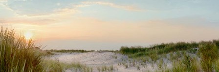 Island Sand Dunes Sunrise No. 1 by Alan Blaustein art print