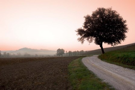 Toscana Valle No.1 by Alan Blaustein art print