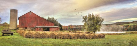 Tioga Hay Bales by Lori Deiter art print