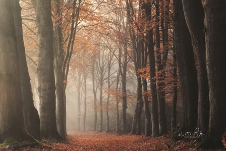 Around the Corner by Martin Podt art print