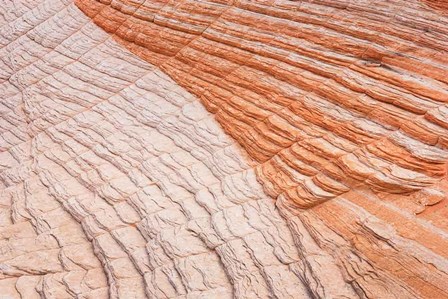 Coyote Buttes VI by Alan Majchrowicz art print