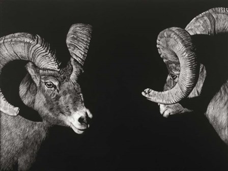 Wild Scratchboard I by Julie Chapman art print