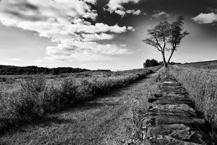 Stone Wall by Aledanda art print