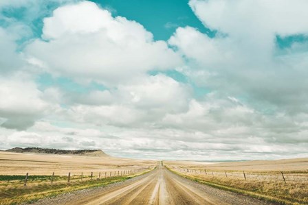 Dirt Road Travels by Annie Bailey Art art print