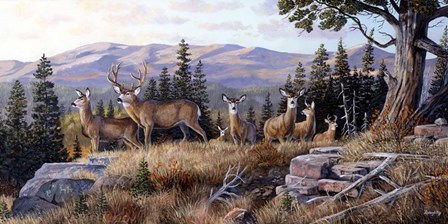 High Ridge Crossing by Terry Doughty art print