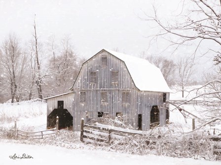 Blue Tinted Barn by Lori Deiter art print