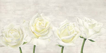 Classic Roses by Jenny Thomlinson art print