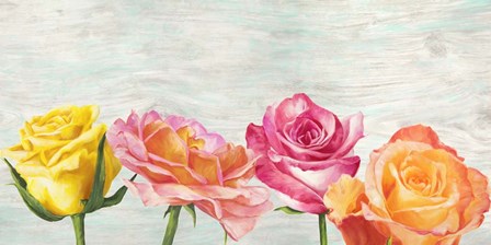 Funky Roses by Jenny Thomlinson art print