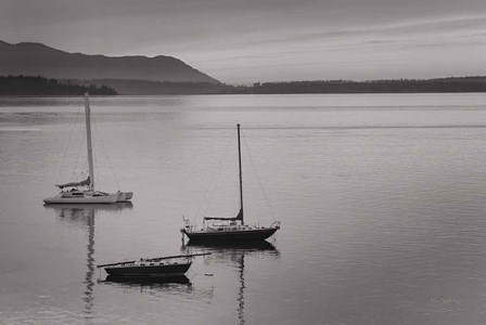 Bellingham Bay BW by Alan Majchrowicz art print