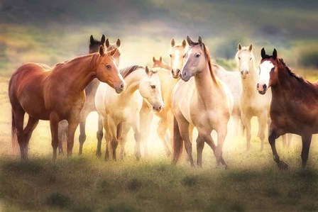 Dance Class by Wendy Caro art print