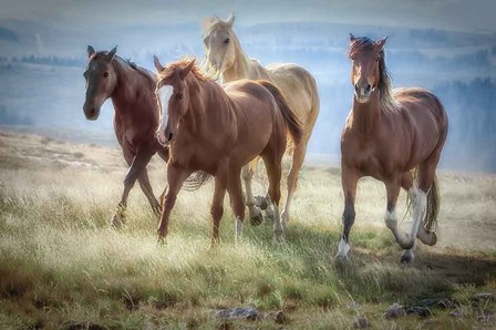 Morning Stroll by Wendy Caro art print