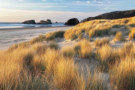 Dune Grass And Beach by Dennis Frates art print