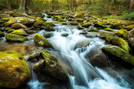 Moss Rocks by Andy Amos art print