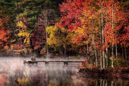 Woodland Dock by Andy Amos art print