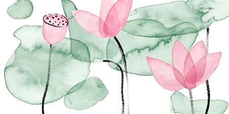 Lotus in Nature III by Melissa Wang art print