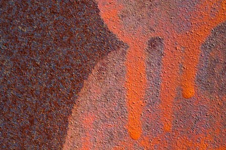 Details Of Rust And Paint On Metal 14 by Zandria Muench Beraldo / Danita Delimont art print