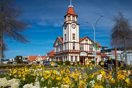 I-SITE Visitor Centre (Old Post Office) And Flowers, Rotorua, North Island, New Zealand by David Wall / Danita Delimont art print