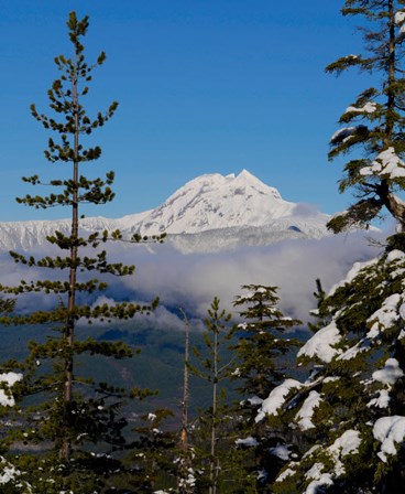 Mount Garibaldi From The Chief Overlook At The Summit Of The Sea To Sky Gondola by Kristin Piljay / Danita Delimont art print